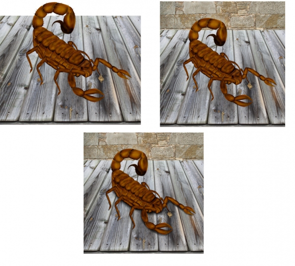 Creation of Wheat Scorpion: Step 4
